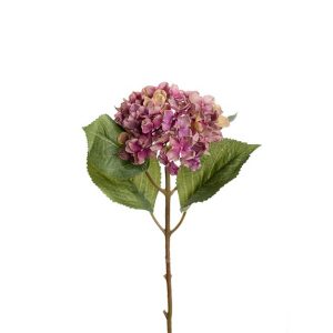 Hortensia, plomme (40 cm)