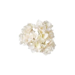 Hortensia med klips