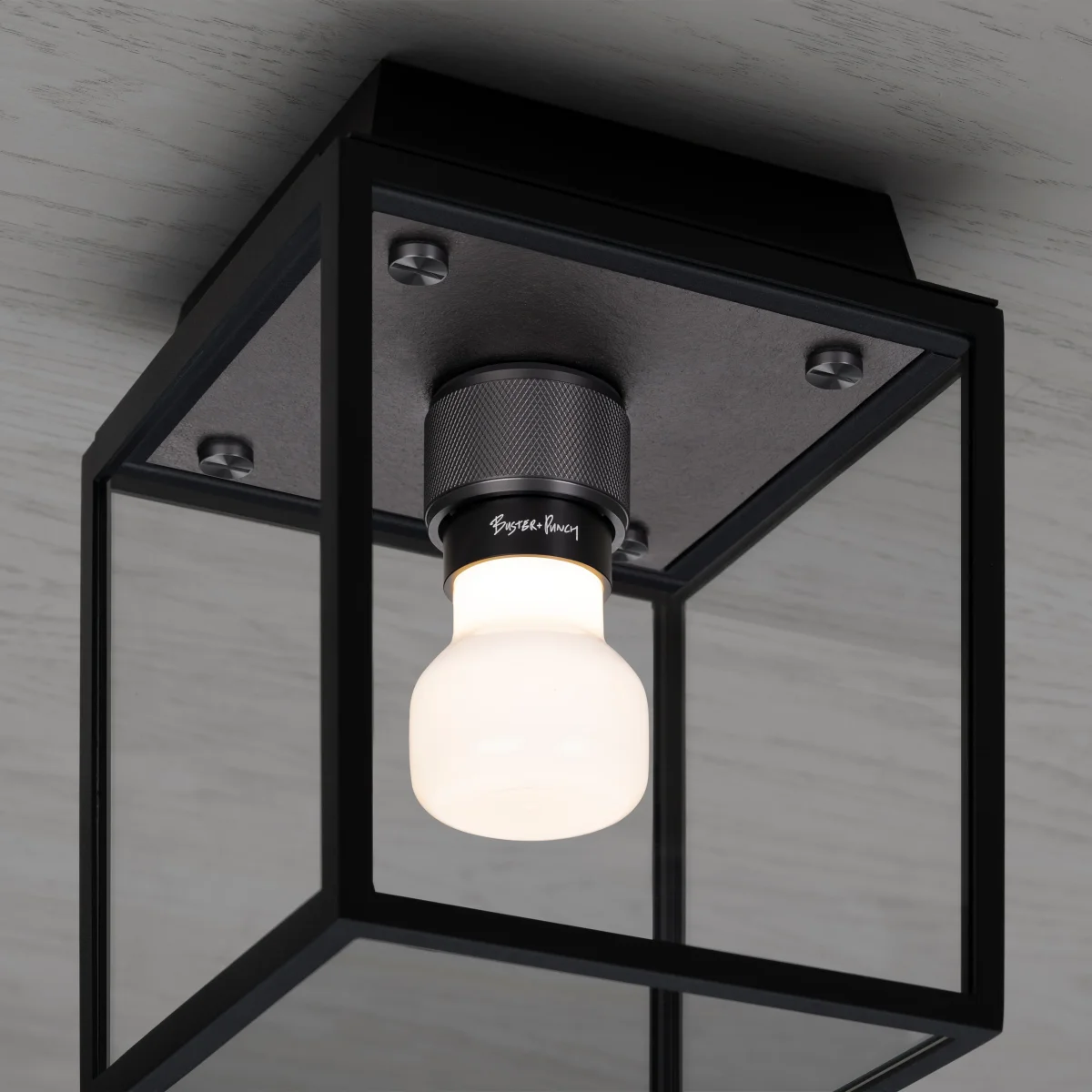 CAGED WET / CEILING / SMALL - GUN METAL