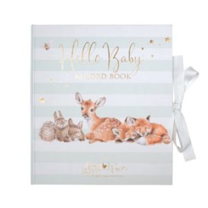 Baby Record Book (minnebok)