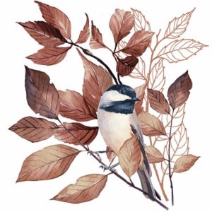 Lovely Chickadee (kaffe servietter)